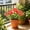 A, variant on HAJAGP Artificial Trumpet Flowers Bushes for Balcony Garden, 14.56in Faux Outdoor Plant (Purple B)