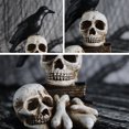 thumbnail image 3 of Lámpara decorativa de cuervo de Halloween, lámpara de esqueleto de Halloween, resina, estatua de calavera de Halloween, lámpara de esqueleto de calavera de Halloween, calidad en la que puedes confiar, 3 of 5