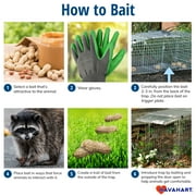Havahart Easy Set Small 1-Door Animal Trap