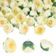 thumbnail image 1 of Uxcell Paquete de 30 Cabezas de Camelia Artificial, Cabeza de Camelia de Seda Falsa de 1.3 Pulgadas para Boda/Ramo/Pared de Flores [Blanco Lechoso, 3.5cm], 1 of 7