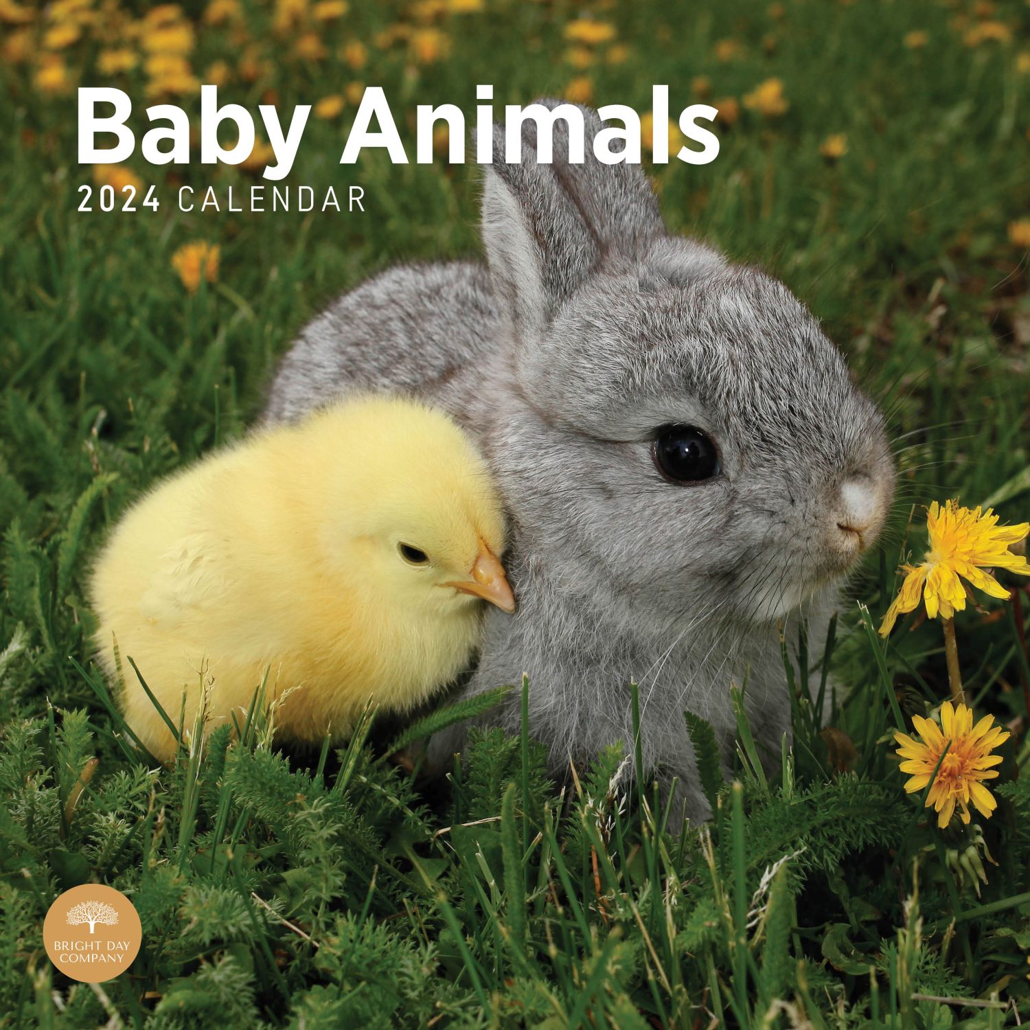 Bright Day Company, Baby Animals 2024 Wall Calendar