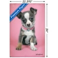thumbnail image 3 of Keith Kimberlin - Puppy on Pink Background Wall Poster with Push Pins, 22.375" x 34", 3 of 3