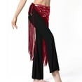 thumbnail image 6 of Dianli Gifts Dancewear Bellydance Women Solid Color Waist Chain Sequin Long Fringe Skirt Sparkling Tassel Wrap Belly Dance Costume Performance Festival Stage Party Skirts, 6 of 8