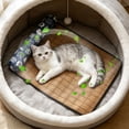 thumbnail image 3 of Ice Mat for Cats Pad for Summer Comfort and Easy Cleaning to Help Hydration and Wellness Cat Mat Easy to Clean. Cat Bed for in Summer. Summer for Cats, 3 of 3