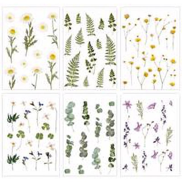 Maoww PET Stickers Flower Series Small Fresh Plant Material Handmade Booklet DIY Alien Decorative Stickers