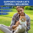 thumbnail image 6 of Worafy Taurine Drops for Cats, Liquid Taurine Supplement for Heart Health, Vision Support, Immune Function, Energy & Vitality 2 fl oz, 6 of 11