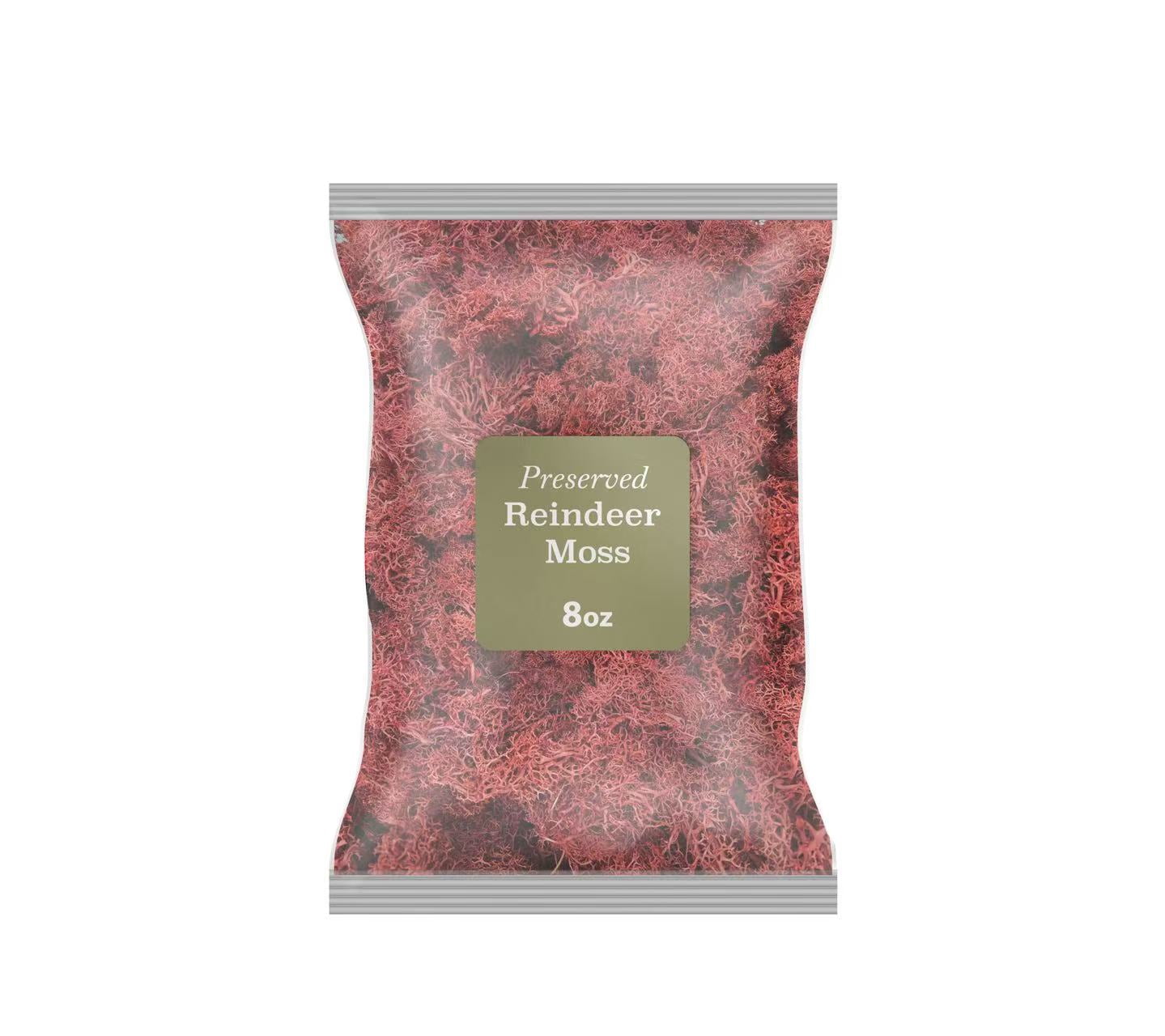 Bergamo Art 200g Preserved Reindeer Moss in Red