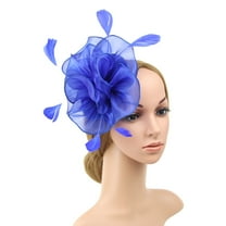 Baqcunre Clearance! Hair Accessories for Women, Hat for Women Wedding Flower Cocktail Mesh Feathers Hair Clip Tea Party Headband, Hair Bows, Hair Ties, Headbands for Women