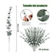 thumbnail image 2 of 24 Piezas Tallos De Eucalipto Decoración Hojas Artificiales, 2 of 5