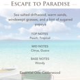 thumbnail image 3 of Escape to Paradise 2.5oz Wax Melt (Pack of 4), 3 of 5