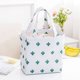 thumbnail image 2 of Bolsa de congelación Paquete de aislamiento fresco Bolsa de almuerzo con cordón impermeable Bolsa con aislamiento térmico Monstrate BB6509-03, 2 of 3