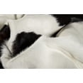 thumbnail image 2 of Natural 676685033994 6 x 7 ft. Kobe Cowhide Rug - White & Black, 2 of 2