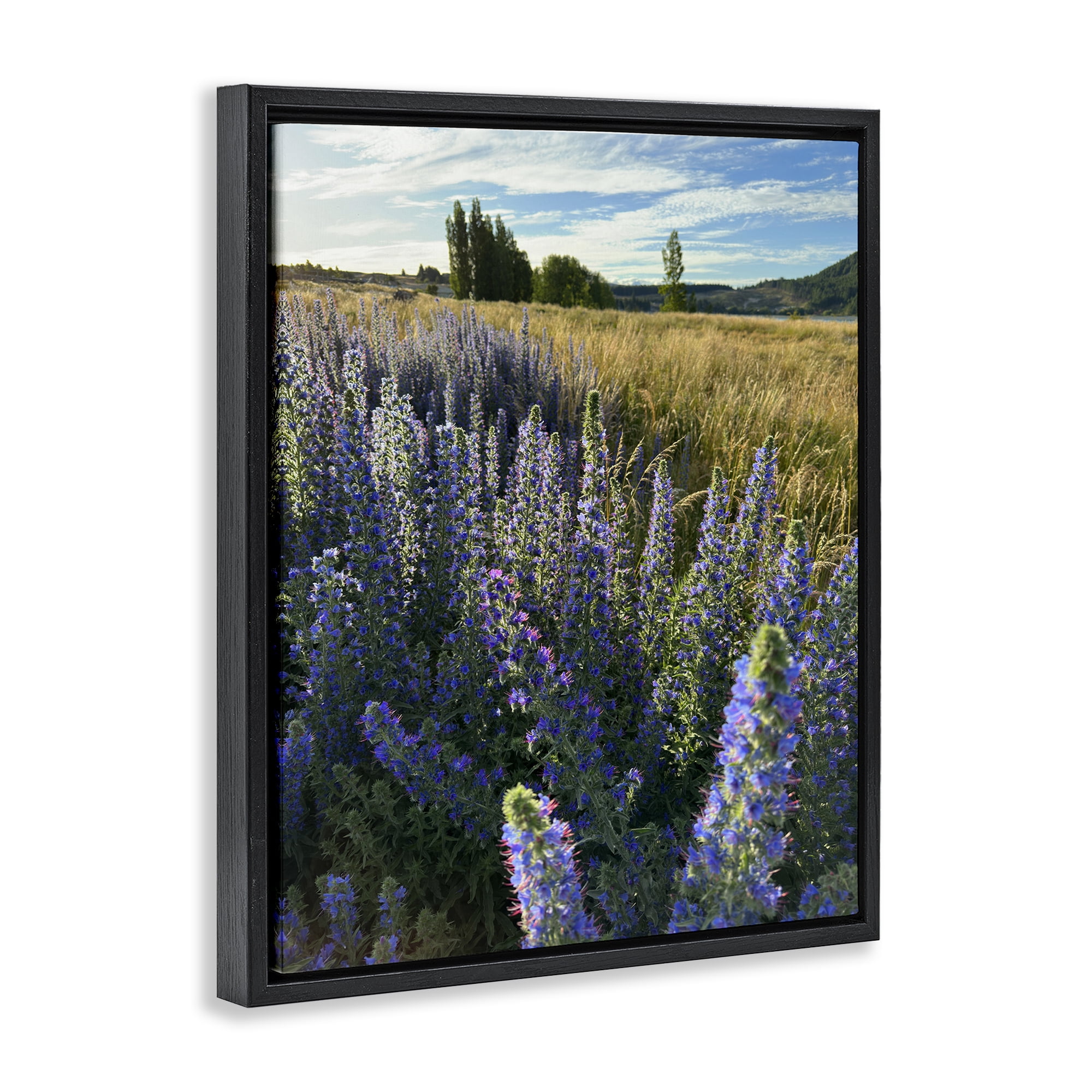 Stupell Industries Lavender Fields Landscape Landscape Photography Black Floater Framed Art Print Wall Art, 17 x 21