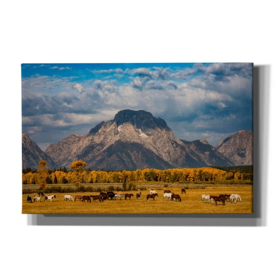 Epic Graffiti 'Teton Horse Ranch - Grand Teton National Park' by Darren White, Giclee Canvas Wall Art, 40"x26"