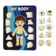 thumbnail image 3 of Juego de rompecabezas de clavijas de madera para niños Rompecabezas de madera My Body para niños pequeños de 3 años en adelante estilos A, 3 of 9