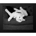 thumbnail image 2 of Levin, Kim 18x15 Black Modern Framed Museum Art Print Titled - Birdie, 2 of 5