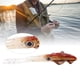 thumbnail image 4 of Cebo de simulación artificial para peces cebo de señuelo artificial cebo de señuelo de calamar suave ojos 3D PVC 43g para atraer peces amantes de la pesca de mar / agua dulce ANGGREK  Otros, 4 of 8