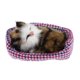 thumbnail image 2 of Sleeping Kitten Cat Stuffed Plush Pet Sonidos Juguetes Decoración para el hogar Sunnimix Juguetes de peluche, 2 of 7