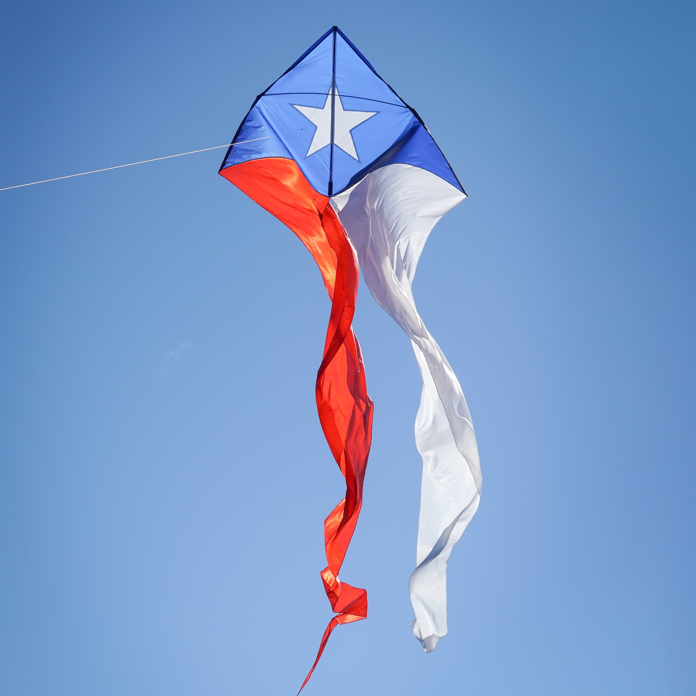 In the Breeze 3357 — Texas 77" Wave Delta Kite — Easy Flying Single Line Large Ripstop and Taffeta Kite