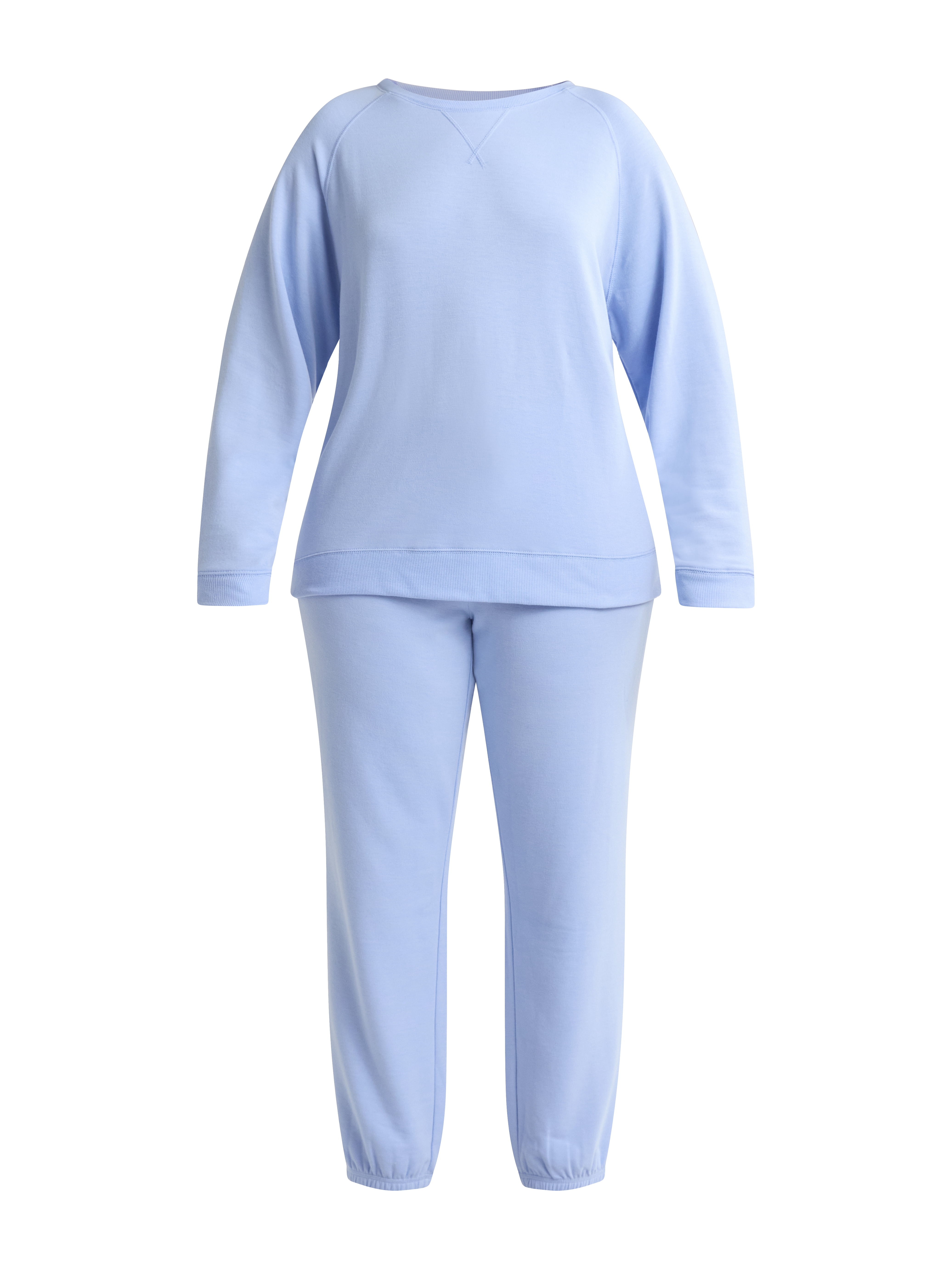 Joyspun Women's and Women's Plus French Terry Sweatshirt and