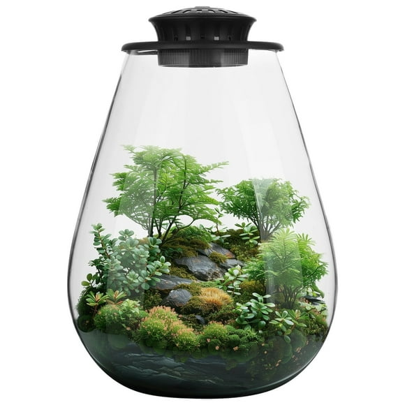 Desktop Glass Plant Terrarium with Grow Light, Planter for Succulent Moss Miniature Gardening Landscape, Betta Fish Tank, Indoor Plant Growth, Office Home Decoration, Plant Lovers Gifts