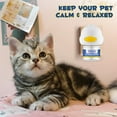 thumbnail image 2 of Oimmal Cat Calming Diffuser Kit (with 4 Refills),Plug-in Pheromone Calming Diffuser for Cats and Kitten,Ensures Your Cats Feel Safe and Relaxed At Home/in New Environment,120 Days Supply, 2 of 12