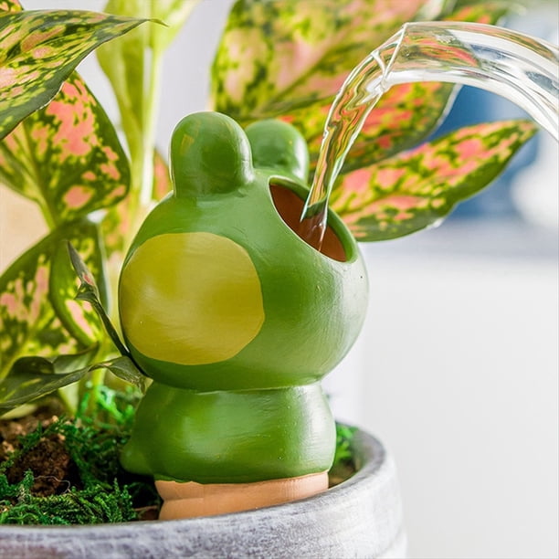 4 Piezas de Rana de , Estacas de Riego Automático de Arcilla, Dispositivo de de Plantas, Maceta de Terracota para Jardín Interior y Exterior