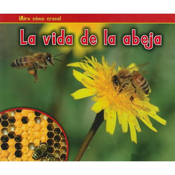 Pre-Owned La vida de la abeja / A Bee's Life (Bellota: Mira como crece! / Acorn: Watch It Grow!) Paperback