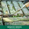 thumbnail image 3 of Crack Weeder, Crevice Weeding Tool, 10" Stainless Steel Manual Weeder, L-Shaped Side-Walk Puller Spatula, Grass Cutter Knife, Weeding Sickle for Garden Lawn Yard Patio Terrace Paving Moss, 3 of 6