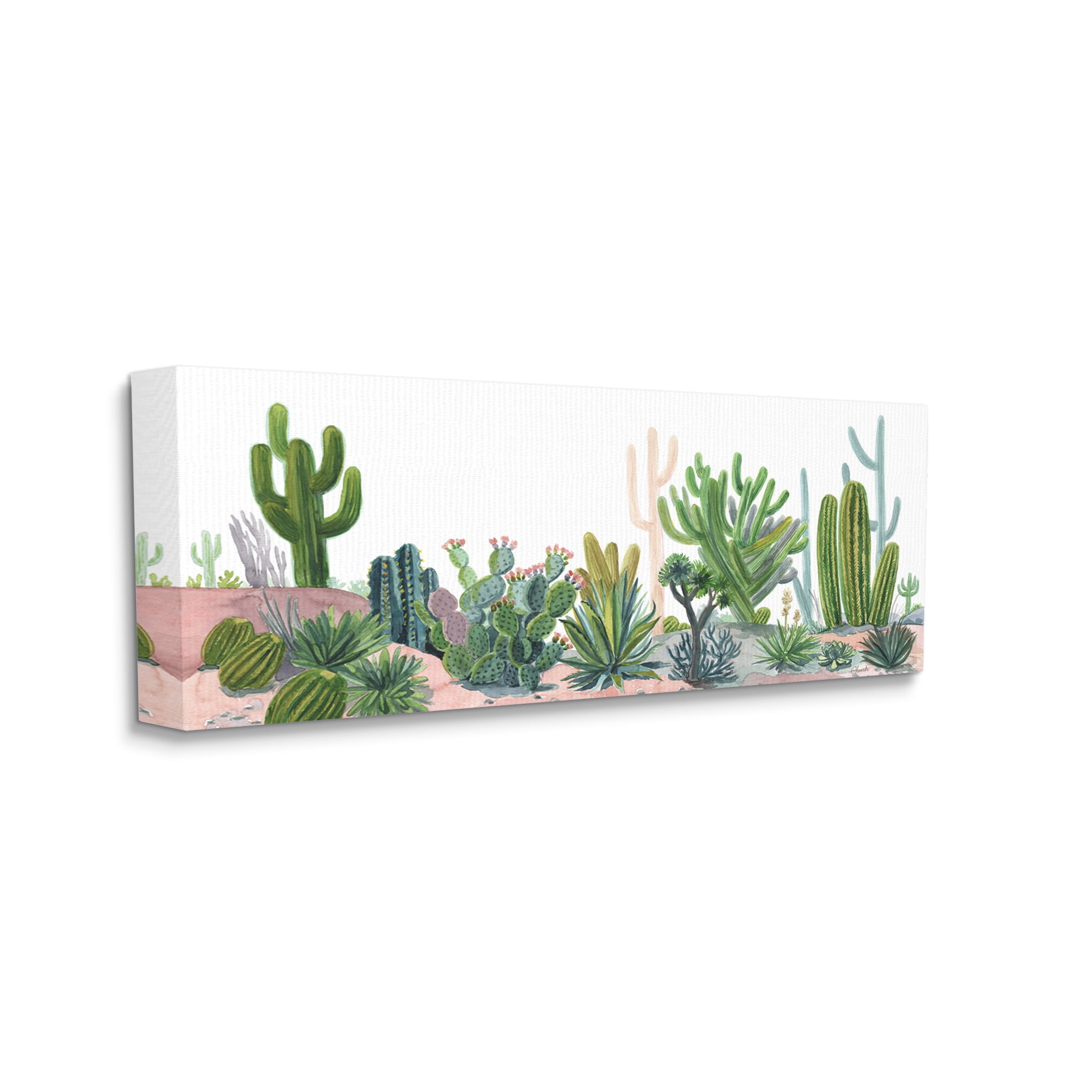 Stupell Varied Desert Vegetation Cacti Botanical & Floral Painting Gallery Wrapped Canvas Print Wall Art