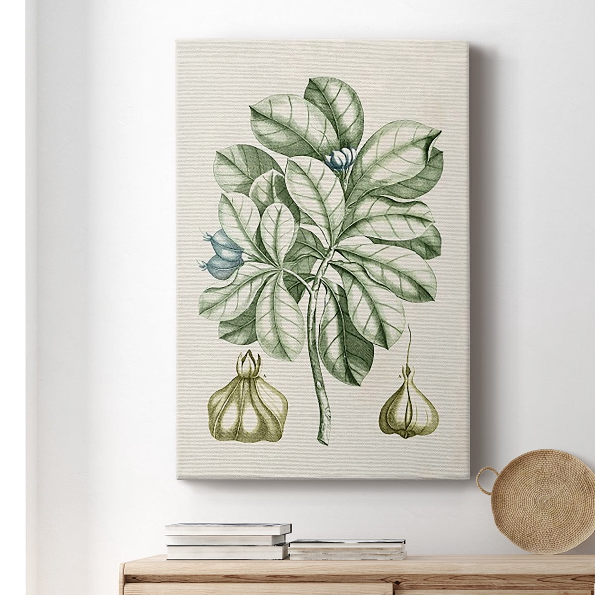 Buchoz Tropicals IX Premium Gallery Wrapped Canvas - Ready to Hang