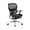 Chrome Finish, variant on Ergomax Multi-Function Mesh Ergonomic Desk Chair