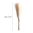 thumbnail image 2 of Uxcell 20Pcs Faux Pampas Grass 21.65" Fake Pampas Grass Decor Brown/Cream, 2 of 7