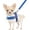 B-Dark Blue, variant on BURIBURI No Pull Small Dog Harness and Leash Set, Puppy Soft Vest Harness Neck & Chest Adjustable, Reflective Lightweight Harness & Anti-Twist Pet Lead Combo for Small Medium Dogs (BL-Front Cli
