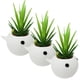 thumbnail image 2 of Maceta Decorativa Ballena 3D BalleFlowyWhite 3 Pzs 6.5x11cm Azul No incluye Planta., 2 of 2