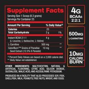 BPI Sports Best BCAA Shredded, Caffeine-Free Thermogenic Recovery Powder, Fruit Punch, 9.7 oz (25 Servings)