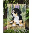 thumbnail image 3 of Carolines Treasures SS8132GF Entlebucher Mountain Dog Flag - Garden Size, 3 of 3