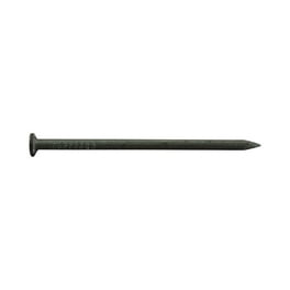 Pro-Fit 1-3/4 in. Roofing Electro-Galvanized Steel Nail Flat Head 1 lb Pro-Fit 1-3/4 in. Roofing Electro-Galvanized Steel Nail Flat Head 1 lb