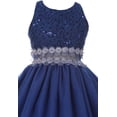 thumbnail image 3 of Little Girl Lace Sequin Top Sheer Waistline Princess Flower Girl Dress Blush 4 CB 1707, 3 of 3