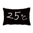 thumbnail image 1 of Kowledge Unité de Température Coussin Lombaire Housse de Coussin Décoration Maison, 1 of 3