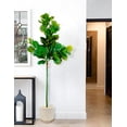thumbnail image 2 of Planta Pandurata 1.80 cm con Maceta Artificial, 2 of 5