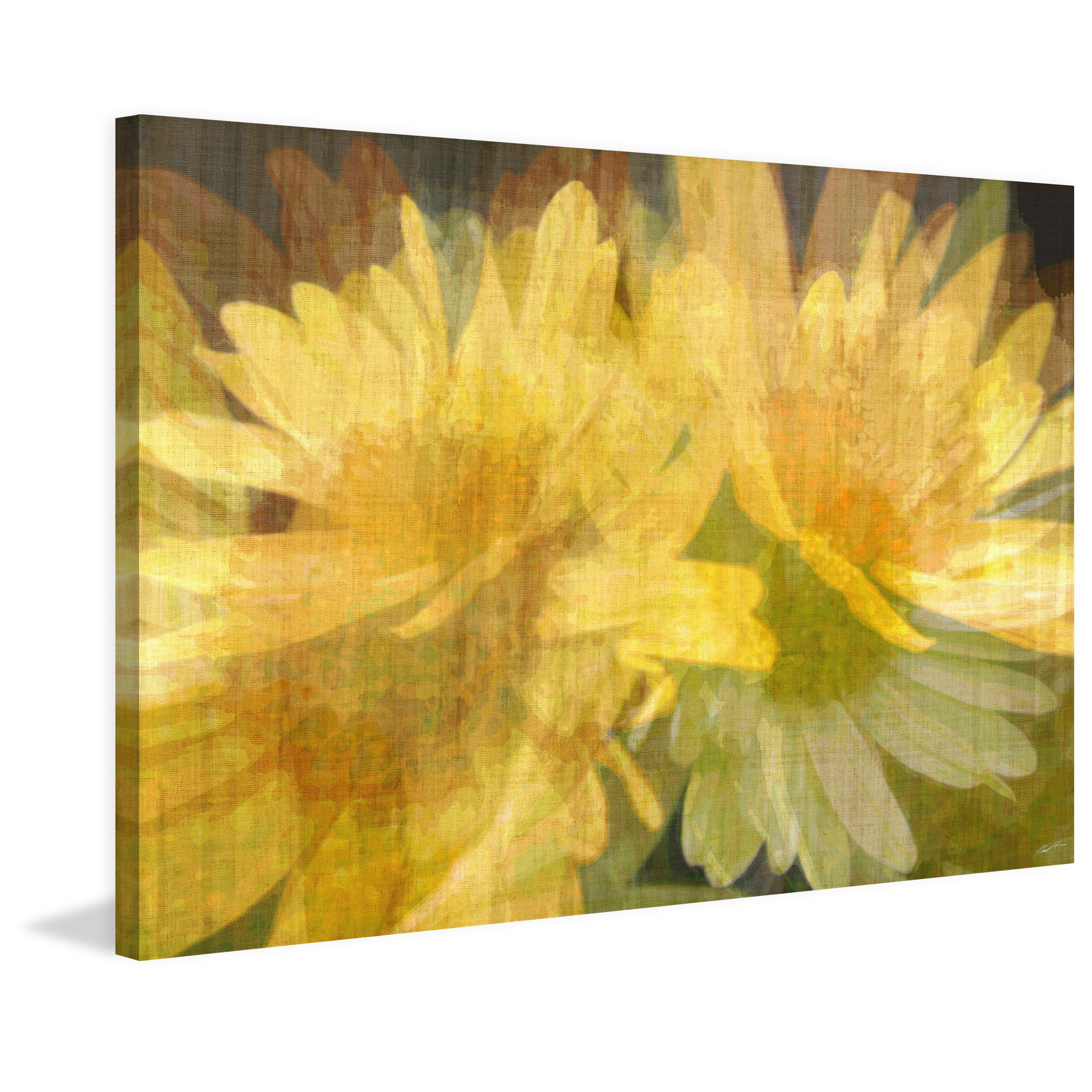 Marmont Hill "Daisy Daisy I" Painting Print on Wrapped Canvas