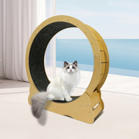 Modern Round Cat Wheel, Manual Cat Exercise Wheel, Cat Exercise Wheel for Indoor Cats Floor Mount ‎Indoor