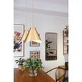 thumbnail image 3 of Z-Lite 1 Light Pendant, 3 of 8