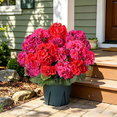 thumbnail image 3 of Artificial Geraniums for Outdoors 2 Pack Potted Faux Plants UV Resistant Realistic Topiaries Greenery for Garden Porch Patio Yard Indoor, 3 of 6