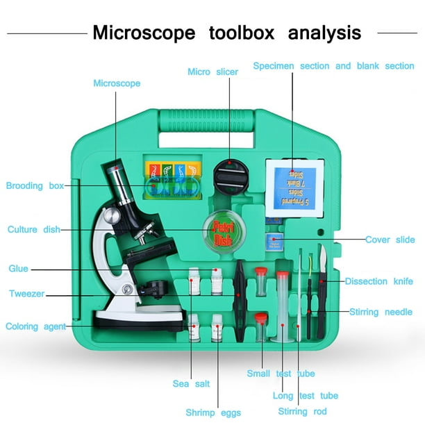 Microscope pour enfants 100x-1200x, Kit de microscope pour débutants, Avec  microscope, Échantillon de lame en plastique, Lumière LED, Kit de tige  d'expérience scientifique
