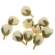 thumbnail image 4 of 10pcs cabeza de flor capullos BLESIY Beige decoración del partido en hogar, 4 of 8