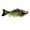 A, variant on Hearth & Gear 3D Fish Hook Realistic Fish Shape Fishing Supplies For Fishing Enthusiasts Trout Floats Ice Strainer Hook for Man Stuff Ice Knee Pads Bow Setup River Gear Rigs for 2 Surf Gear Gear for