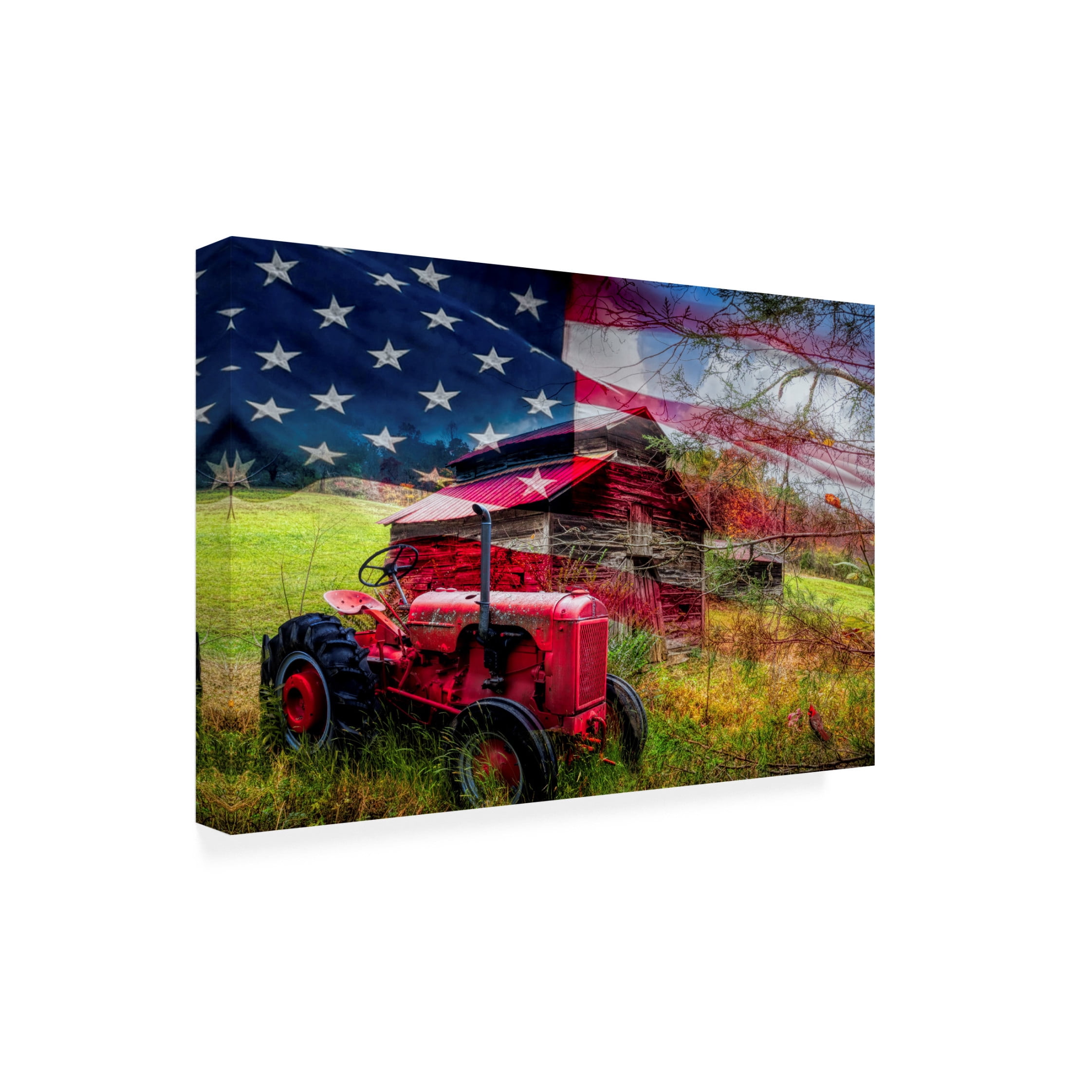 Canvas Wall Art - Celebrate Life Gallery 'Stars and Stripes Forever' Wall Art for Living Room, Bedroom, or Office Décor by Trademark Fine Art - 19 x 12 Inches