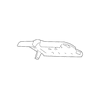 Genuine OE Audi Upper Cover - 4E0-907-577-C